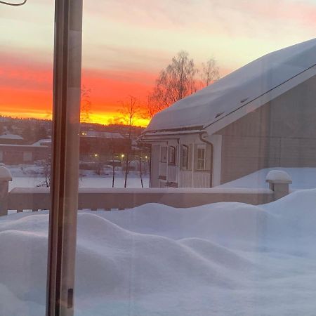 Sleep Well 2 Apartment Kongsberg Luaran gambar